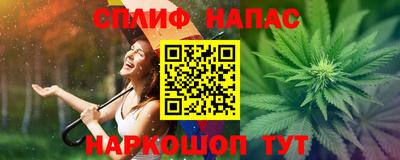 гидра Шахты