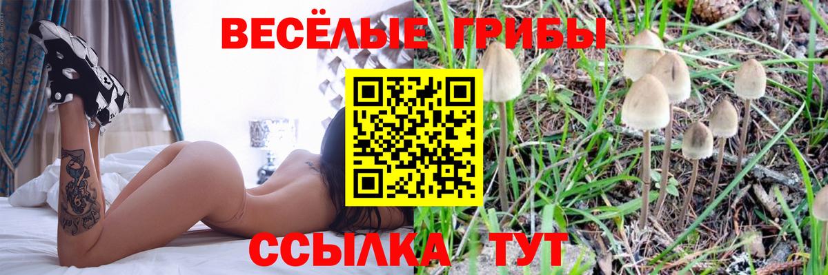 Галлюциногенные грибы мухоморы  Вход с VPN  Аша  Псилоцибиновые грибы MAGIC MUSHROOMS 