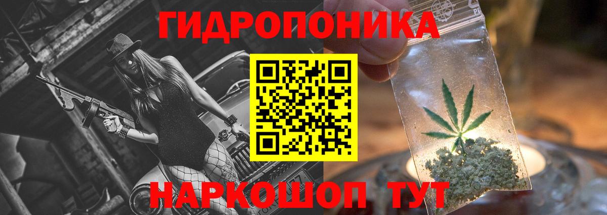 Конопля OG Kush Аша